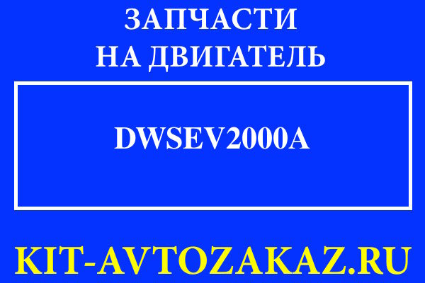 DWSEV2000A запчасти для двигателя