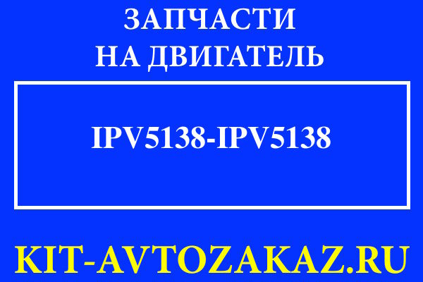IPV5138/IPV5138 запчасти для двигателя